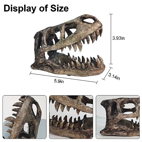 Dinosaur Skull T-Rex Bones Resin Craft Statue for Home Office Shelf Decor Lifelike Tyrannosaur Head Sculpture Figurine Gifts Reptile Hide House Shelter Cave