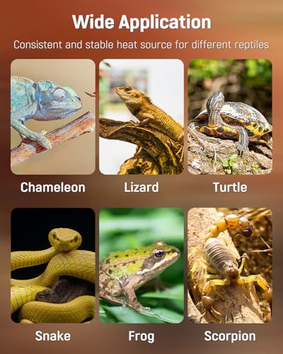 Pawfly Reptile Heat Pad with Thermostat & Timer - Reptile Heating Pads 25 W, 17.7 x 8 Inch Hermit Crabs Heating Pad, Heat Mat for Reptiles Turtles Frogs Snakes Lizards Geckos Plants Seedlings - size: 25 W (17.7 x 8 Inch)