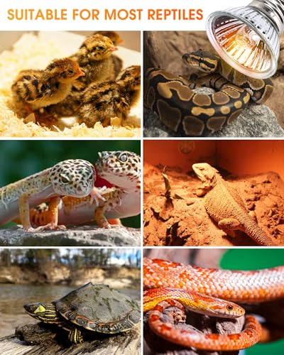 50W UVA+UVB Reptile Heat Lamp, 4 Pack Heat Lamp Light Bulbs for Reptiles, Amphibian Basking Lights, Terrariums and Cages,Works with Various Lamp Fixtures, for Bearded Dragon, Lizard, Gecko,Turtle