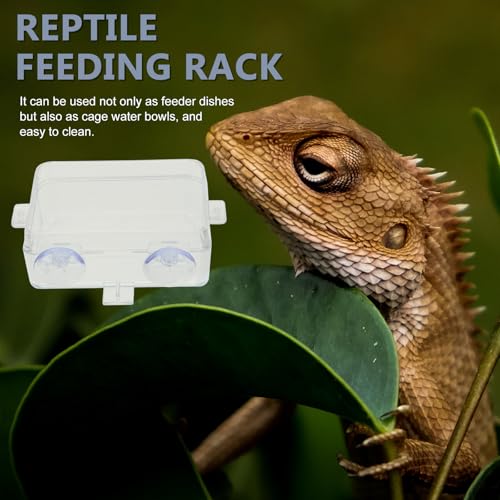 Cabilock Reptile Food and Water Bowls with Suction Cups, Large Escape-Proof Feeding Dish for Lizards, Bearded Dragons, Geckos – 2pcs Terrarium Feeder Bowls for Reptile Supplies