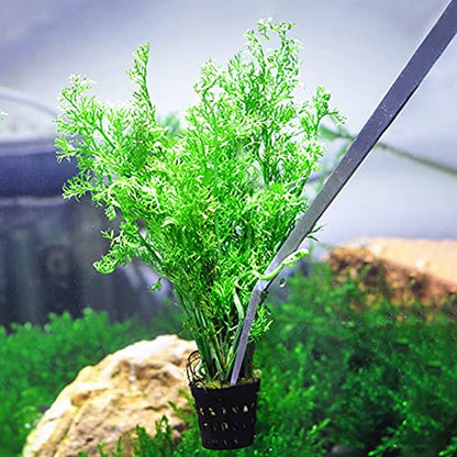 Utoolmart Aquarium Plant Tweezer, Stainless Steel Curved Tweezer, Aquarium Tweezers Extra Long 48cm, for Fish Tank Plant Aquascape Tools, Feeding Tongs - color: 1pcs, size: 48cm Curved