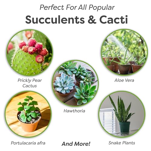 Succulent & Cactus Soil Mix by Perfect Plants (8QTS) - size: 8 quarts