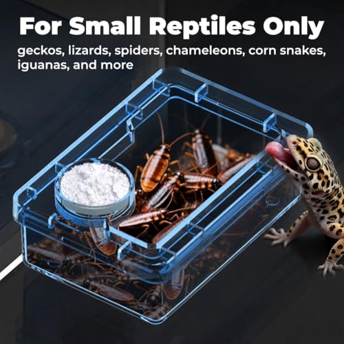 2-Pack Medium Reptile Escape-Proof Feeder Bowls, Clear + Transparent Blue