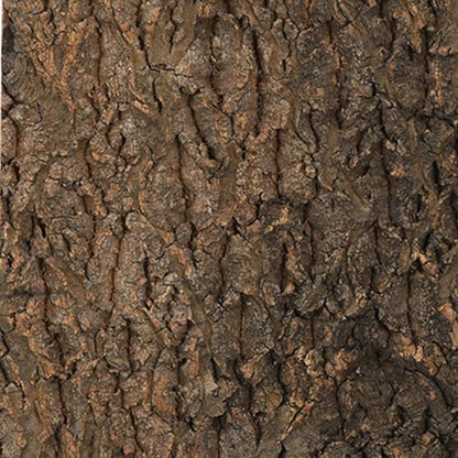 Cork Bark for Reptiles - Natural Terrarium Climber | Water-Resistant Cork Bark for Climbing, Exercise, and Hiding, Perfect Snakes, Lizards, Tortoises, Geckos, Turtles, Chameleons, Pet Terrariums