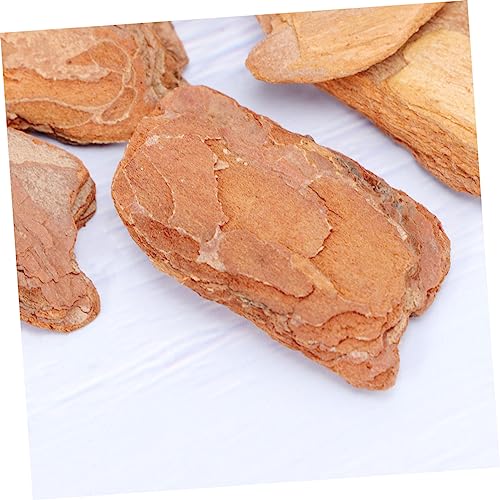 ORFOFE 1pack Natural Pine Bark Pad for Reptile Box Cushioning for Lizards Snails and Chameleons to Rest Climb Terrarium Decor