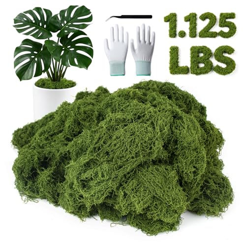 MGLIFEUL 1.125 LBS Artificial Fake Moss for Crafts Plants Indoor with Non-Stick Gloves and Tweezers，Preserved Green Plant Faux Craft Moss Musgo for Fairy Garden Outdoor Home Decorating Model Making - color: Grass Green, size: 1.125 LBS
