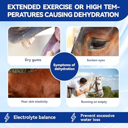 Horse Electrolytes Powder, Electrolyte for Horses with Sodium & Potassium, Equine Hydration Supplement 420g - size: Box