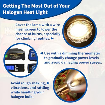 Pangea 50W Halogen Heat Lamp (4 Pack) for Reptiles - Warming UVA and Infrared Light for Turtles, Tortoises, Bearded Dragons - Heating Bulb Accessories, Designed for Ceramic Sockets (50 Watt)