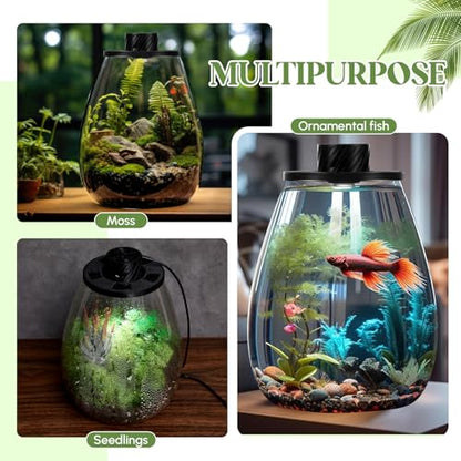 Maxdot Glass Plant Terrarium Kit with LED Grow Light, Desk Terrarium for Venus Fly Trap, Succulents, Moss & Miniature Garden, Borosilicate Glass Desktop Planter for Home Office(6.9 x 7.8 Inch) - size: 6.9 x 7.8 Inch