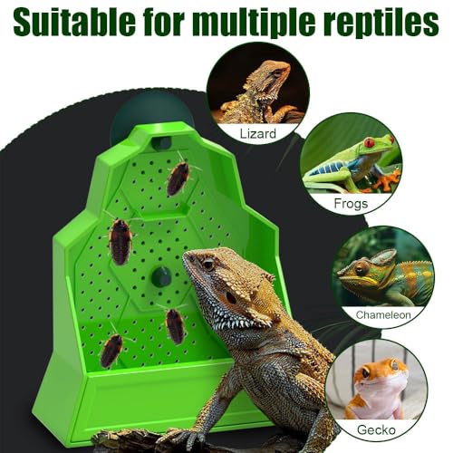 DONGKER Bearded Dragon Feeder,Anti-Escape Reptile Wall-Mounted Feeding Dish Adjustable Suction Cup Height for Lizard Bearded Dragon Gecko Frog - size: Small