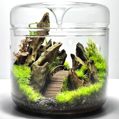 Natural Rocks Dragon Stone 1-2.5 Inches Decorative Rocks for Miniature Terrariums,Fairy Gardens,Bonsai,DIY Crafts, Aquariums Dioramas & Wargaming-1lb - size: 1lb(1-2.5Inch)