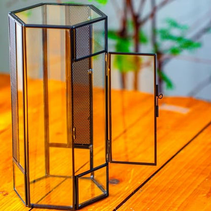 NCYP Small Glass Enclosure Terrarium with Mesh and Door for Spiders - Hexagon Shape Small Mantis Vented Glass Terrarium 4.9'' x 4.3'' x 9.4'', Tabletop Decor, Black (Plants Not Include) - size: 4.9'' x 4.3'' x 9.4''