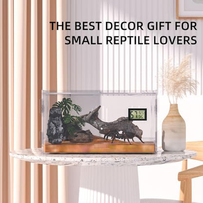 Reptile Terrariums with Temperature Hygrometer, 11.8"x7.9"x5.9" Acrylic Breeding Box Terrarium Cage Tank for Small Reptile Insect Home Office (Terrestrial) - size: Terrestrial--M (Tray)