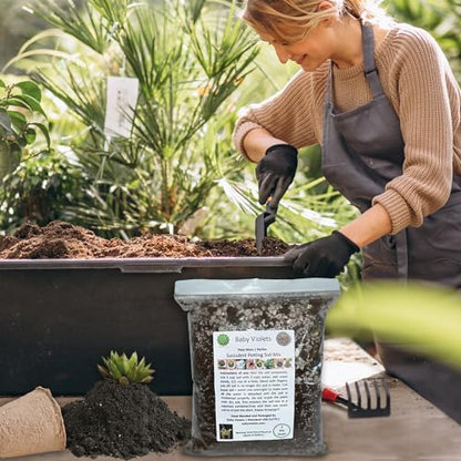 Succulent Plant Potting Soil Mix Peat Moss & Perlite (½ Gallon / 2 quarts) (Pack of 2) - size: 2qt (Pack of 2)