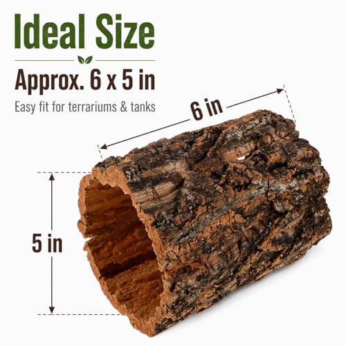 DECHOUS Natural Cork Rounds Reptiles 6x5 Inch Reptile Hideout Tree Bark Tube Terrarium Tank Decor for Gecko Bearded Dragon Snake Climbing, Amphibian Habitat