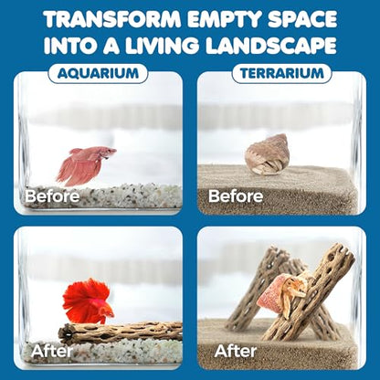 SunGrow Hermit Crab Woods, Climbing Logs, Chews, Keep Hermies Busy and Active, Long Dried Aquarium Décor Adds Raw Beauty