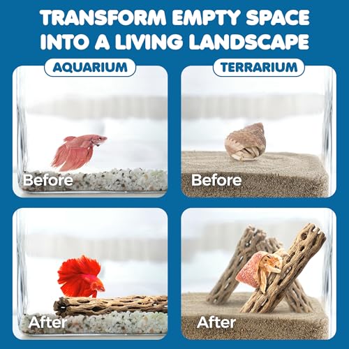 SunGrow Cholla Wood, 6” Climbing Logs, Chew Toy, Aquarium Fish, Snail, and Shrimp Driftwood, Tropical Freshwater Fish Décor, Adds Raw Beauty, 3 Pack