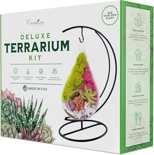 Creations by Nathalie DIY 7" DIY Teardrop Terrarium Kit - Build Your Own Glass Terrarium for Adults & Teens with Moss, Crystals, Tools & Decor - Handcrafted in the USA (Live Plant Included) - color: Customizable Glass