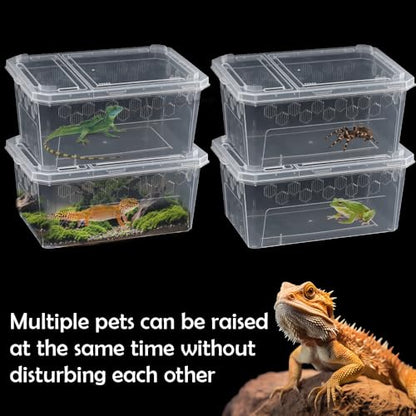 4 Pack Reptile Feeding Box Breeding Box Transparent Cage Habitat Hatching Container for Reptile Spider Scorpion Gecko Tortoise Treefrog