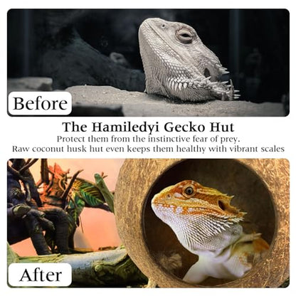 Hamiledyi Lizard Coco Den Reptile Hideouts Gecko Coconut Shell Hut Coconut hut for Geckos Bearded Dragon Tank Accessories Coconut Lizard Hut with Ladder - Natural Coconut Fiber