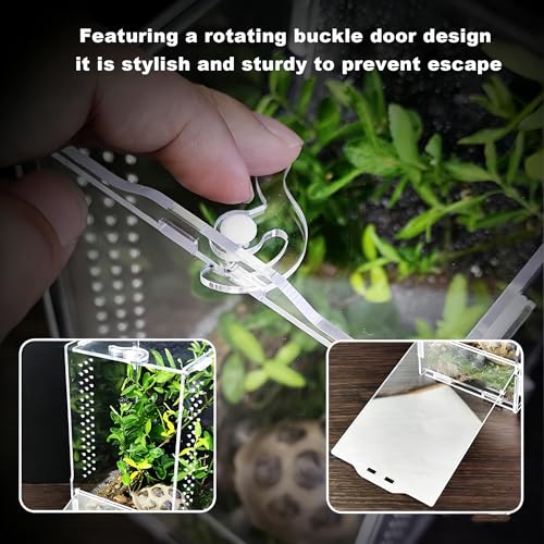 Jumping Spider Enclosure, Large Acrylic Arboreal Terrarium with Top Rotating Lock Door, Ventilated Insect Habitat Tank for Jumping Spiders, Small Geckos