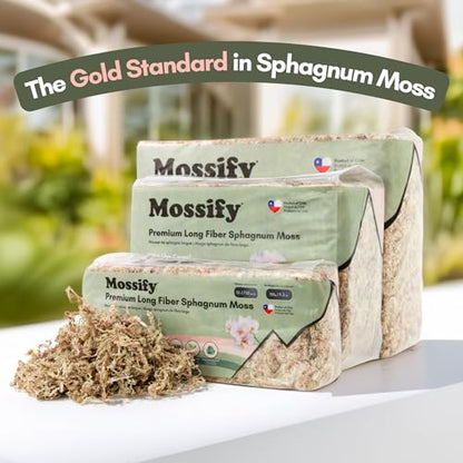 Mossify Premium Sphagnum Moss for Plants 1kg, 2.2 lbs - Long Fiber Moss for Plants Indoor, Orchids, Terrariums, Gardening, Reptiles – Moisture Plant Moss for Propagation, Soil & Habitat Bedding - size: 1kg (2.2 lbs)