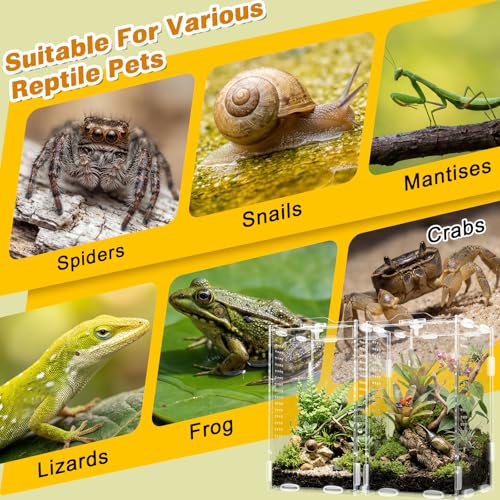 2 Pack Jumping Spider Enclosure Kit Acrylic Reptile Terrariums with Locking Latch, All Side Ventilation, Praying Mantis Habitat, Frog Bug Enclosure, 4.3x4.7x7.87 Inch with Feeding Monitoring Tool