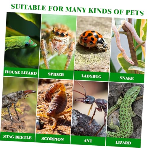 POPETPOP Acrylic Reptile Terrarium Habitat for Spiders, Snakes, Lizards, Geckos, Hermit Crabs, Turtles, 11.81x7.87x5.91in