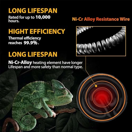 BNOSDM 50W Ceramic Heat Emitter,2 Pack Reptile Heat Lamp Bulbs,Ceramic Heat Lamp,Brooder Coop Heater for Amphibian Reptile Turtle Lizard Chicken - color: Pack of 2/Black, size: 50 Watts