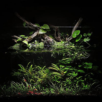 Ultum Nature Systems Controsoil - Freshwater Aqua Soil Substrate for Fish, Shrimp, Live Plant Propagation and Aquascaping - 6.8pH Low Ammonia, Volcanic Ash - Black, Extra Fine (3 Liter) - color: Black - Extra Fine, size: 3 Liters (2.7 kg)