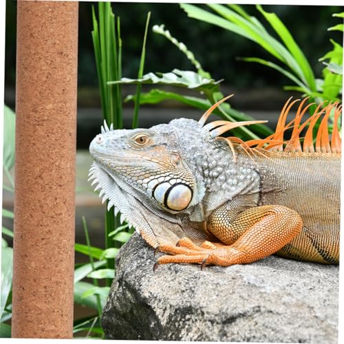 BESPORTBLE Reptile Cork Wood Climbing Branch for Habitats Sturdy Resting Stick for Lizard and Bird Tanks Natural Decoration for Safe Basking and Climbing