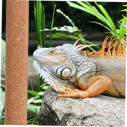 BESPORTBLE Reptile Cork Wood Climbing Branch for Habitats Sturdy Resting Stick for Lizard and Bird Tanks Natural Decoration for Safe Basking and Climbing