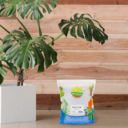 Soil Sunrise Aroid Plant Potting Soil Mix (8 Quarts) for Pothos Devil's Ivy, ZZ Plant, Chinese Evergreen, Dumb Cane Philodendron, Syngonium, Alocasia, Colocasia Etc.