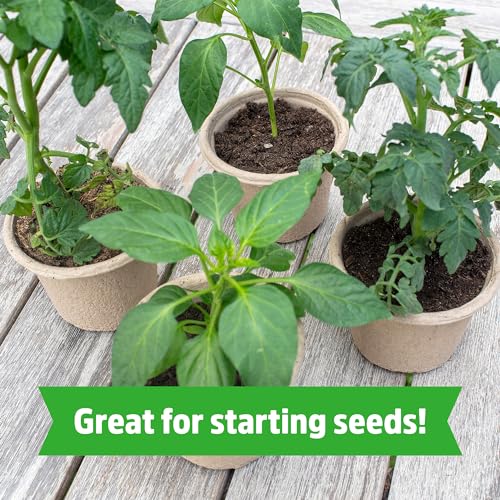 Back to The Roots Organic Coir, 51 Quart Expanding Soil, Great for Seeds and Potting - size: 51 Quart, style: 51 Quart Expanding Soil