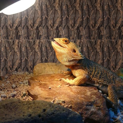 DOITOOL 3 Pcs Natural Cork Bark Aquarium Decor Reptile Tank Background Indoor Terrarium Decoration