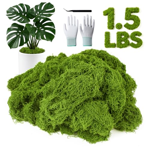 MGLIFEUL 1.5 LBS Artificial Fake Moss for Crafts Plants Indoor with Non-Stick Gloves and Tweezers，Preserved Green Plant Faux Craft Moss Musgo for Fairy Garden Outdoor Home Decorating Model Making - color: Light Green, size: 1.5 LBS