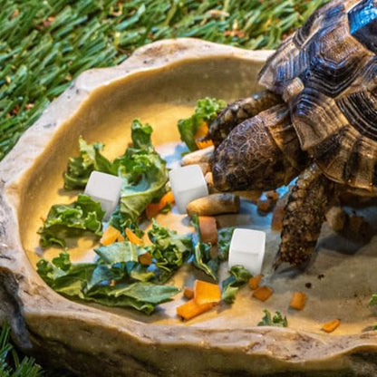 PRETYZOOM 30pcs Reptile Calcium for Turtle Tortoise Lizard Chameleon Amphibian Health Supplement Dental Care and Wellness Support