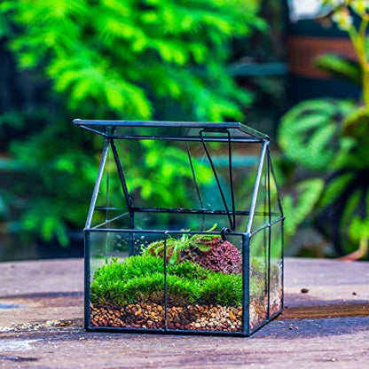 NCYP Mini Glass Terrarium with Lid - 4.25" x 4.25" x 4.92" House Shape Close Geometric Planter Pot for Mini Succulents Plant, Moss - Handmade, Home Garden Office Decor, Black (Terrarium Only) - size: 4.25x4.25x4.92 inches