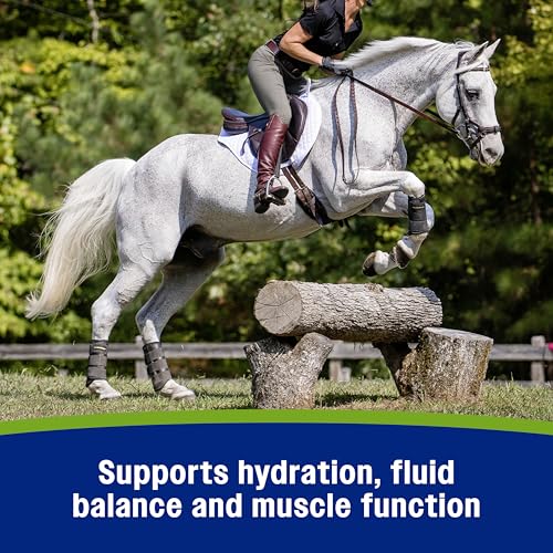 Farnam Apple Elite Electrolyte Supplement for Horses, Replaces Vital Minerals, for Hydration, No Added Sugar, Horse Supplements with Sodium, Potassium, Calcium & Magnesium, 7.5 lb, 40 Day Supply - size: 7.5 pounds