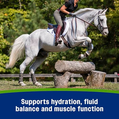 Farnam Apple Elite Electrolyte Supplement for Horses, Replaces Vital Minerals, for Hydration, No Added Sugar, Horse Supplements with Sodium, Potassium, Calcium & Magnesium, 7.5 lb, 40 Day Supply - size: 7.5 pounds