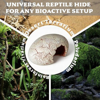 Dinosaur Egg Reptile Hide - Resin Cave for Leopard Gecko, Bearded Dragon & Small Snakes - Humid Hide, Shedding Aid & Terrarium Decor Tank Accessories (Small)