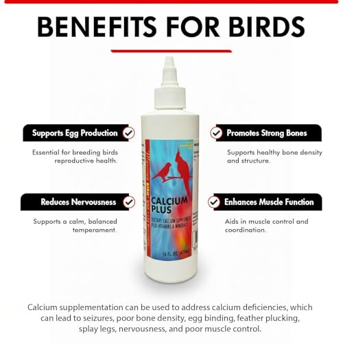 Morning Bird Calcium Plus Liquid for Birds – Calcium Supplement with Vitamins and Minerals for Strong Eggshells, Healthy Bones - Support Growth, Breeding, and Wellness for All Birds 16 Fl Oz - size: 16 Fl Oz