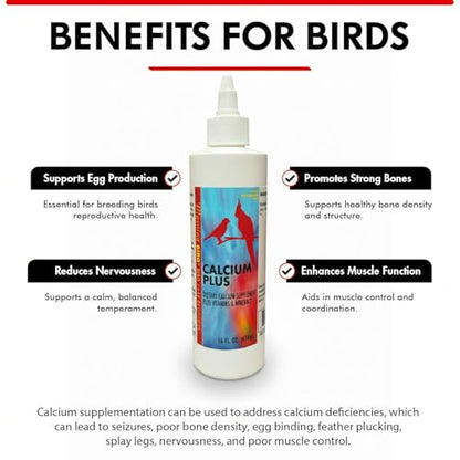 Morning Bird Calcium Plus Liquid for Birds – Calcium Supplement with Vitamins and Minerals for Strong Eggshells, Healthy Bones - Support Growth, Breeding, and Wellness for All Birds 16 Fl Oz - size: 16 Fl Oz