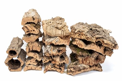 Assorted Virgin Cork Bark for Orchids, Reptiles & Terrariums – Natural Orchid Mounts, Vivarium Décor, Tarantula & Gecko Hides (10lbs) - style: 10 lbs MIXED CORK 10 LB