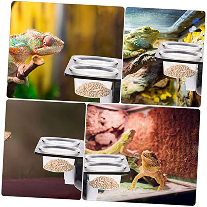 Yardwe 1set Reptile Feeding Platform Double Cups Practical Ledge for Reptile Feeding Easy to Clean Bowl for Lizards Geckos and Other