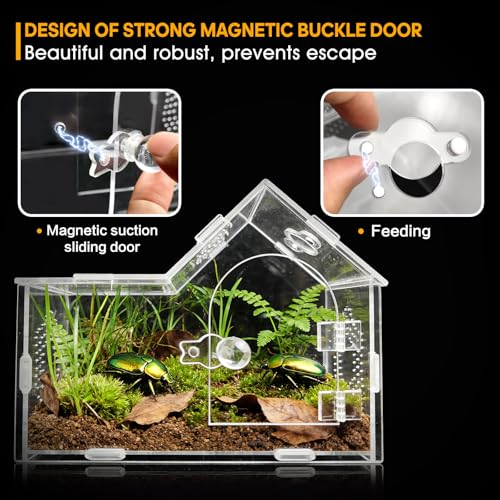 Acrylic Jumping Spider Enclosure with Magnetic Lock – Clear Ventilated Terrarium Box for Tarantulas, Geckos, Mantises, Hermit Crabs, Snails, and Other Small Pets (7.9 x 4 x 6 Inch)