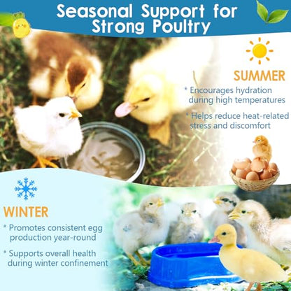 Chicken Electrolytes for Water, Electrolyte & Vitamin Supplement for Poultry, Chicks, Ducks, Turkeys, Support Hydration, Stress Recovery, Immunity, Backyard Chicken Essential, 10oz Makes 140 Gallons