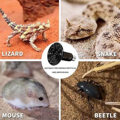 75W Reptile Heat Lamp(2 Packs)-Ceramic Heat Emitter for Reptiles Amphibian Pet Brooders Chicken Incubation, and Terrariums Turtle Lizard Bearded Dragon Snake E26 - size: 75W