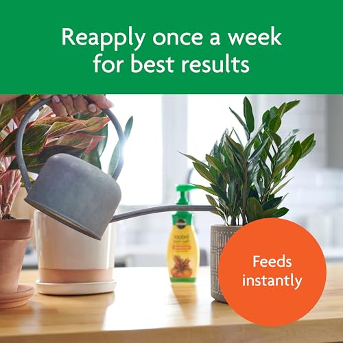Miracle-Gro Indoor Potting Mix (6 qt.) and Indoor Plant Food (8 oz.) - Bundle for Growing and Fertilizing Houseplants - size: Bundle Pack