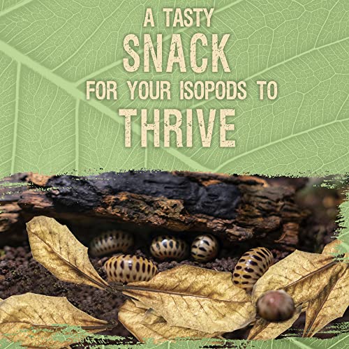 SunGrow 10 Pack Hermit Crab Large Catappa Indian Almond Leaves, Tarantula Dried Leaves for Spawning, Source of Cellulose and Nutrition for Isopods and Crickets, Create Humid Vivarium Habitat, 8”